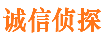 点军市私家侦探